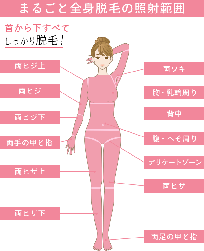 まるごと全身脱毛適応部位