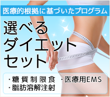 選べるダイエットセット